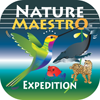 Nature Maestro - Classroom Icon