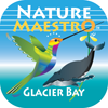 Nature Maestro - Glacier Bay Icon