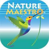 Nature Maestro Logo